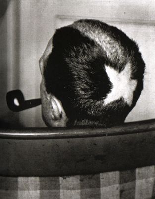 1bc84c62e806ddae1405c6df88fb4455