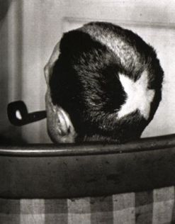 1bc84c62e806ddae1405c6df88fb4455