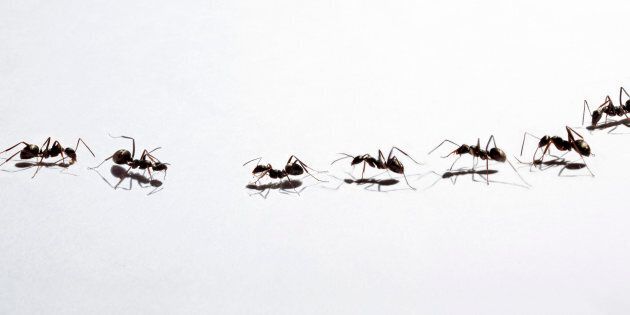 5cca74722300003300d16020