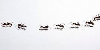 5cca74722300003300d16020