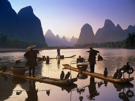 peter-adams-corvo-marinho-pescador-china_a-G-3513215-4990875