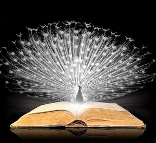 Il Pavone Bianco - F_De Masi