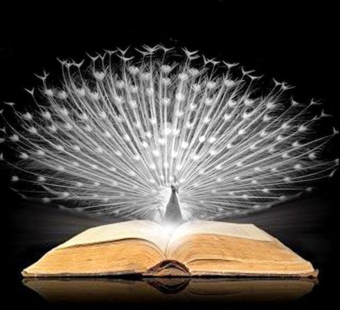 Il Pavone Bianco - F_De Masi