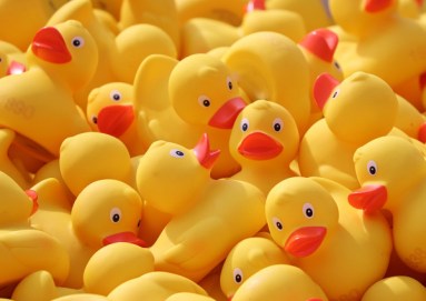 190414_rubber-ducks_pixabay