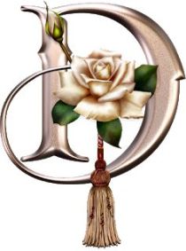 94d6db33c230606f9dfa083ea9c13ecd