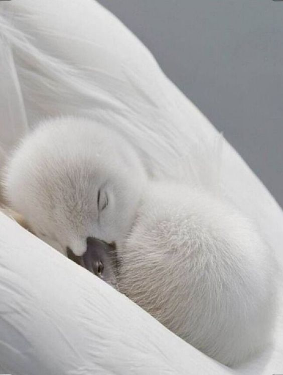 bf7a77642a389210f64084bf2b673f89