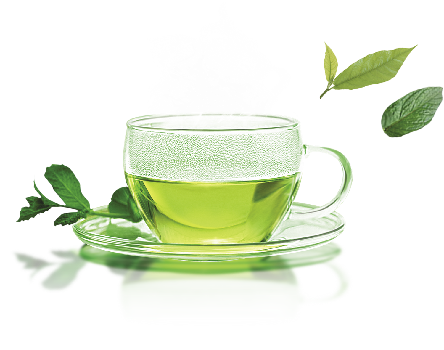 Green-Tea-Transparent-Images