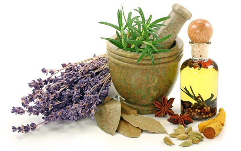 xFarmacia-novara-rimedi-naturali-fitoterapia.jpg.pagespeed.ic.rBZMePRpmO