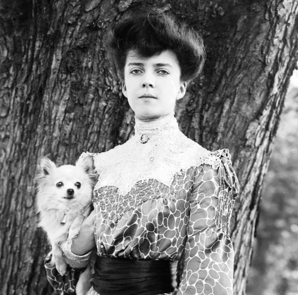 Alice-Roosevelt-Pekingese-History-Hustle-W-1024x1014