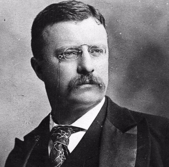 Teddy-Roosevelt-History-Hustle-W 2